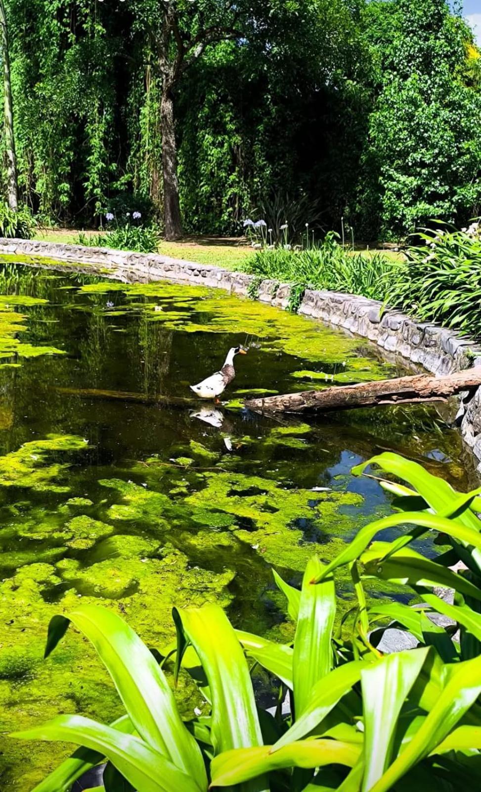 Finca El Milagro Ла-Сильета Экстерьер фото